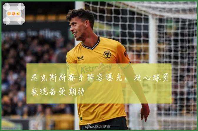 尼克斯新赛季阵容曝光，核心球员表现备受期待