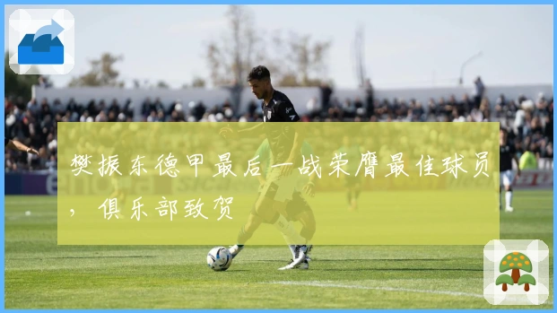 樊振东德甲最后一战荣膺最佳球员,俱乐部致贺