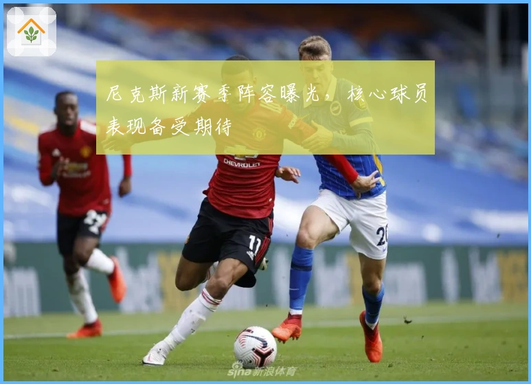 尼克斯新赛季阵容曝光，核心球员表现备受期待